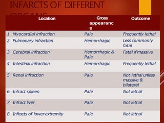 INFARCTS OF DIFFERENT
ORGANS
Location Gross
appearanc
e
Outcome
1 Myocardial infraction Pale Frequently lethal
2 Pulmonary infraction Hemorrhagic Less commonly
fatal
3 Cerebral infraction Hemorrhagic &
Pale
Fatal if massive
4 Intestinal infraction Hemorrhagic Frequently lethal
5 Renal infraction Pale Not lethal unless
massive &
bilateral
6 Infract spleen Pale Not lethal
7 Infract liver Pale Not lethal
8 Infracts of lower extremity Pale Not lethal
 