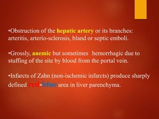 •Obstruction of the hepatic artery or its branches:
arteritis, arterio-sclerosis, bland or septic emboli.
•Grossly, anemic but sometimes hemorrhagic due to
stuffing of the site by blood from the portal vein.
•Infarcts of Zahn (non-ischemic infarcts) produce sharply
defined red-blue area in liver parenchyma.
 