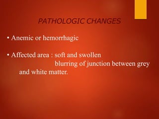PATHOLOGIC CHANGES
• Anemic or hemorrhagic
• Affected area : soft and swollen
blurring of junction between grey
and white matter.
 