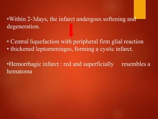 •Within 2-3days, the infarct undergoes softening and
degeneration.
• Central liquefaction with peripheral firm glial reaction
• thickened leptomeninges, forming a cystic infarct.
•Hemorrhagic infarct : red and superficially resembles a
hematoma
 