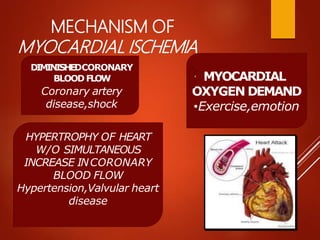 MECHANISM OF
MYOCARDIAL ISCHEMIA
DIMINISHEDCORONARY
BLOOD FLOW
Coronary artery
disease,shock
• MYOCARDIAL
OXYGEN DEMAND
•Exercise,emotion
HYPERTROPHY OF HEART
W/O SIMULTANEOUS
INCREASE INCORONARY
BLOOD FLOW
Hypertension,Valvular heart
disease
 