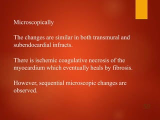 Microscopically
The changes are similar in both transmural and
subendocardial infracts.
There is ischemic coagulative necrosis of the
myocardium which eventually heals by fibrosis.
However, sequential microscopic changes are
observed.
50
 