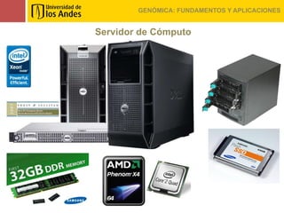 GENÓMICA: FUNDAMENTOS Y APLICACIONES


Servidor de Cómputo
 