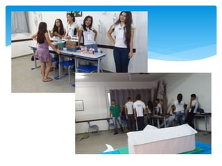 Pavimentação x Alterações Ambientais 