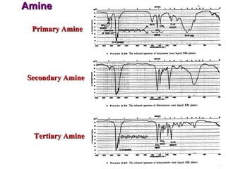 Amine Primary Amine Secondary Amine Tertiary Amine 
