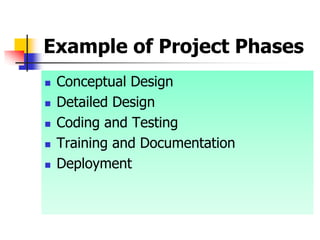 Example of Project Phases
 Conceptual Design
 Detailed Design
 Coding and Testing
 Training and Documentation
 Deployment
 