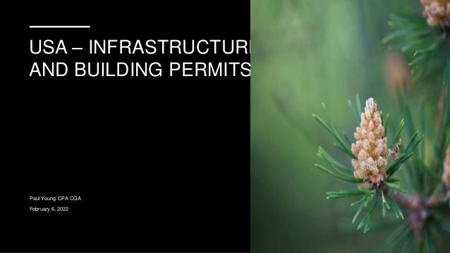USA – INFRASTRUCTURE
AND BUILDING PERMITS
Paul Young CPA CGA
February 6, 2022
 