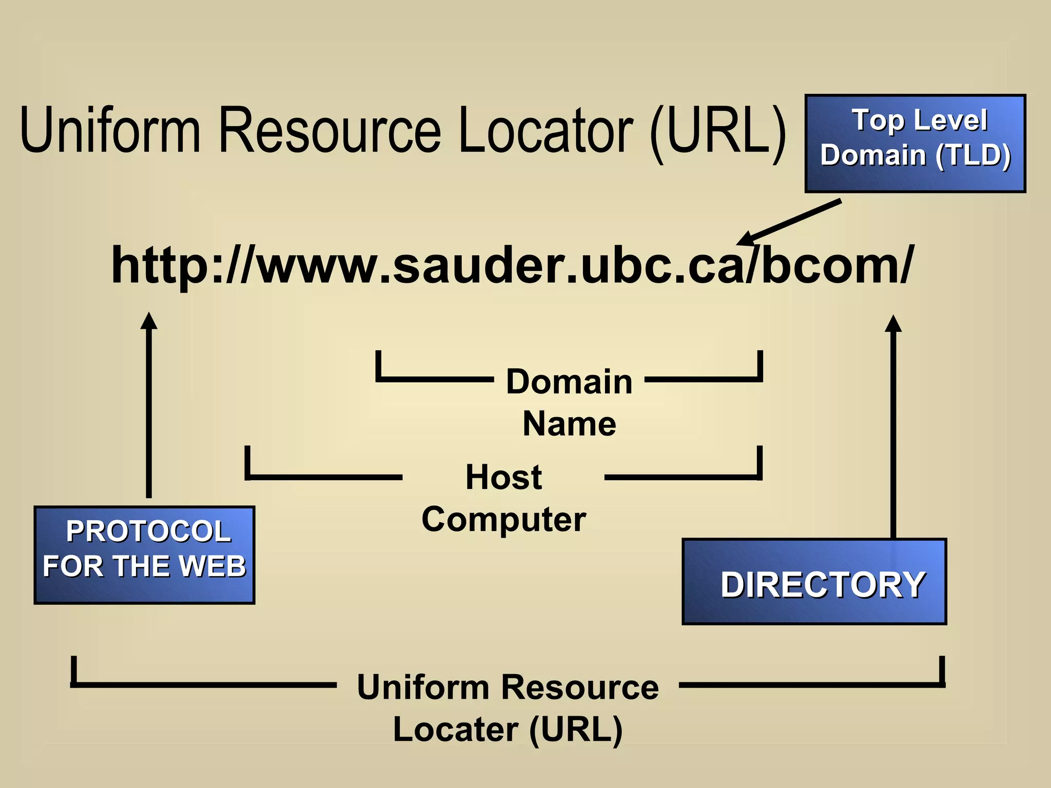 Uniform Resource Locator (URL) http://www.sauder.ubc.ca/bcom/ PROTOCOL FOR THE WEB DIRECTORY Domain Name Uniform Resource Locater (URL) Host Computer Top Level Domain (TLD) 