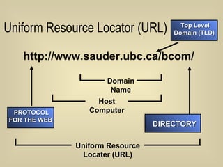 Uniform Resource Locator (URL) http://www.sauder.ubc.ca/bcom/ PROTOCOL FOR THE WEB DIRECTORY Domain Name Uniform Resource Locater (URL) Host Computer Top Level Domain (TLD) 