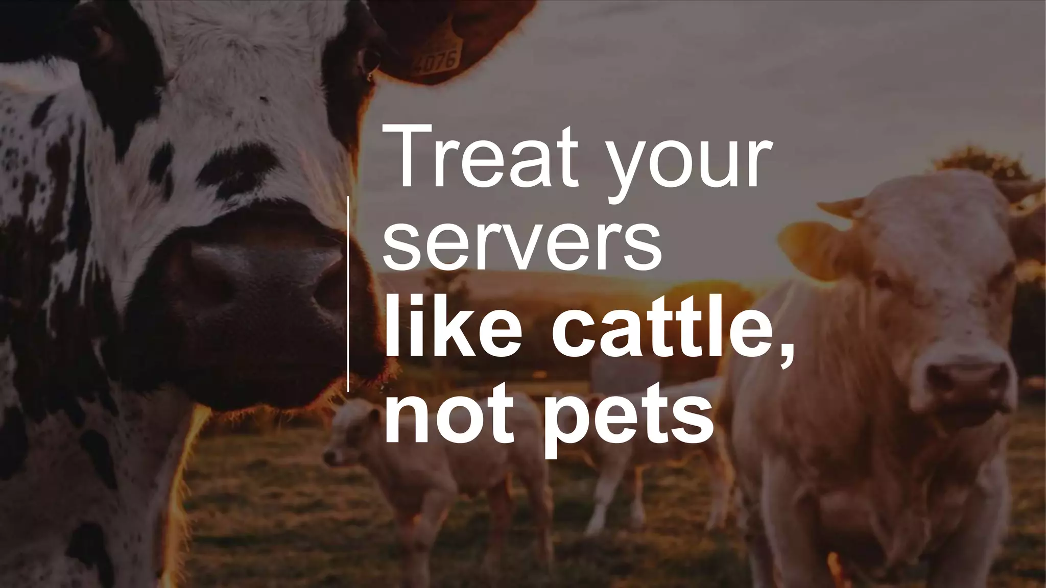 Treat your
servers
like cattle,
not pets
 
