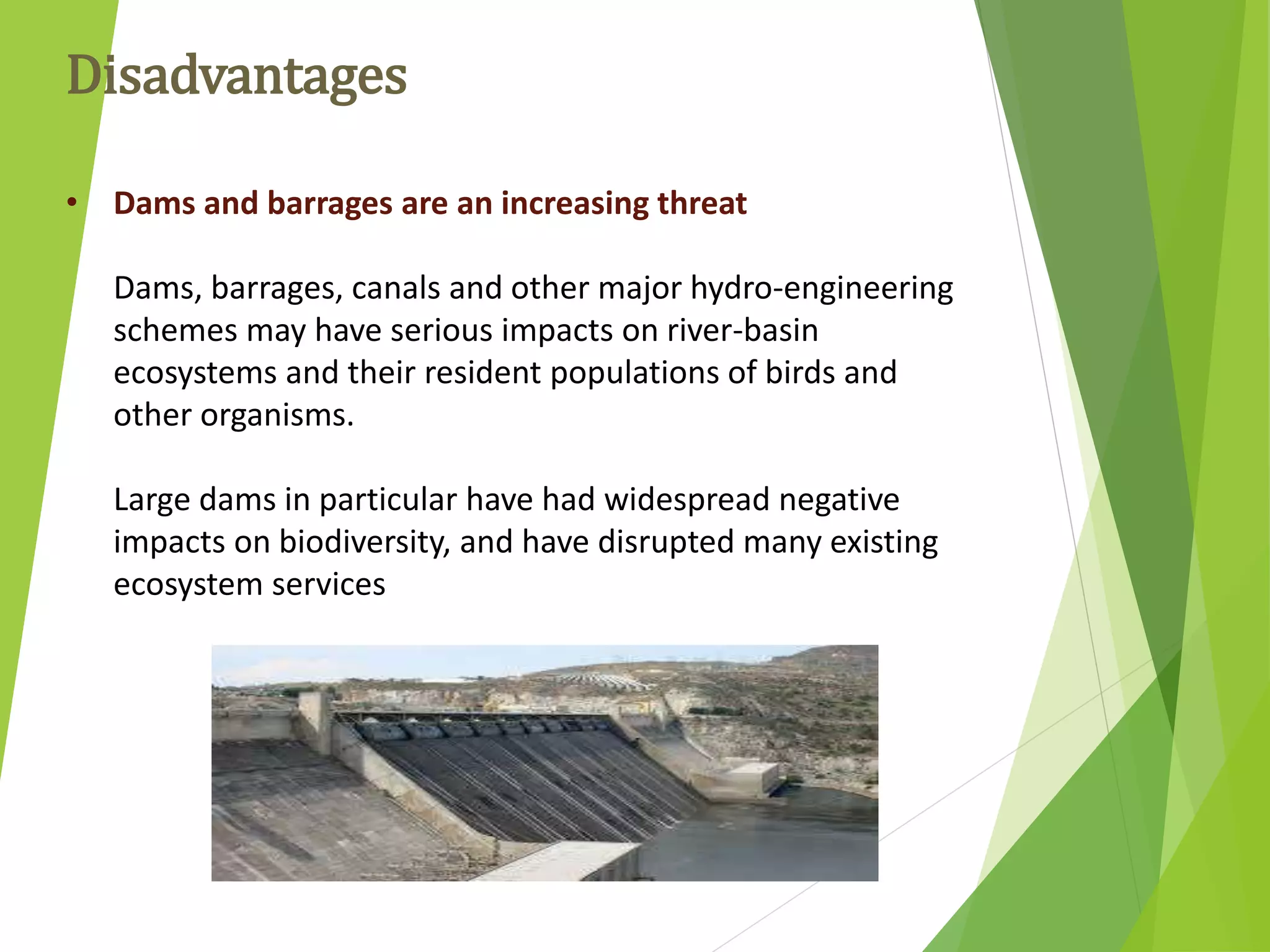 • Dams and barrages are an increasing threat
Dams, barrages, canals and other major hydro-engineering
schemes may have serious impacts on river-basin
ecosystems and their resident populations of birds and
other organisms.
Large dams in particular have had widespread negative
impacts on biodiversity, and have disrupted many existing
ecosystem services
Disadvantages
 