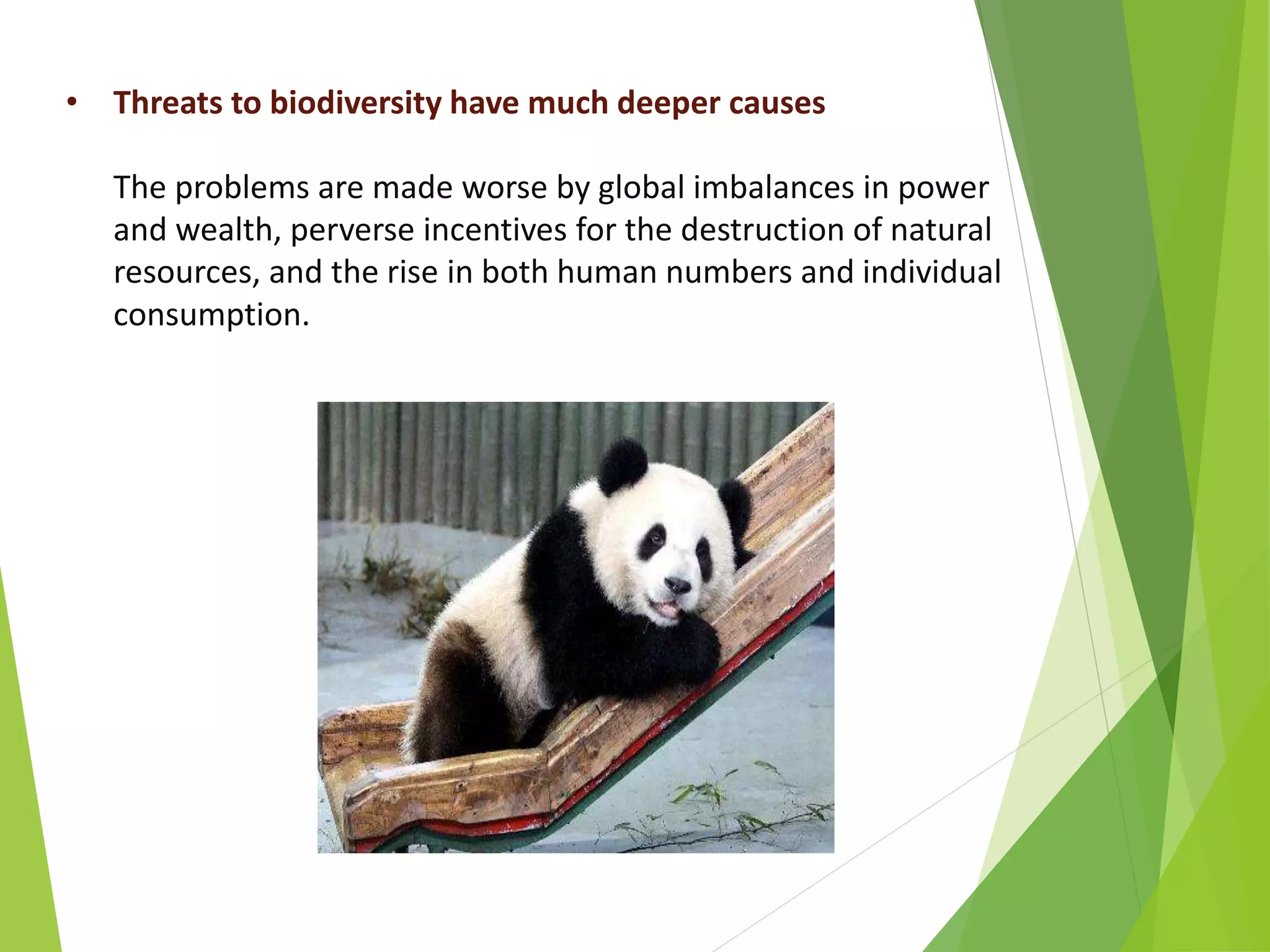• Threats to biodiversity have much deeper causes
The problems are made worse by global imbalances in power
and wealth, perverse incentives for the destruction of natural
resources, and the rise in both human numbers and individual
consumption.
 
