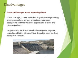 • Dams and barrages are an increasing threat
Dams, barrages, canals and other major hydro-engineering
schemes may have serious impacts on river-basin
ecosystems and their resident populations of birds and
other organisms.
Large dams in particular have had widespread negative
impacts on biodiversity, and have disrupted many existing
ecosystem services
Disadvantages
 