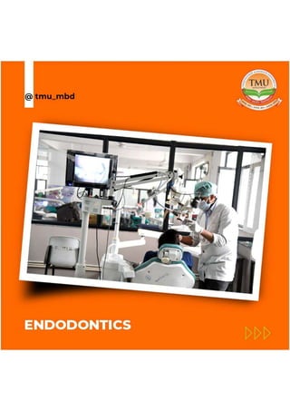 Top Dental College in UP Dental Courses TMU PDF