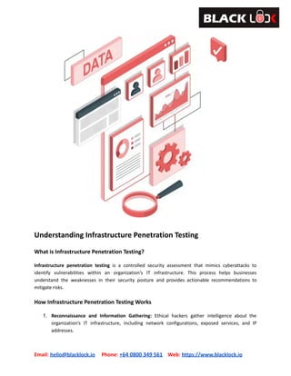 Infrastructure Penetration Testing in NZ_ Strengthening Your IT ...