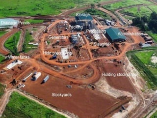 Infrastructure req of modern slaughterhouse | PPTX