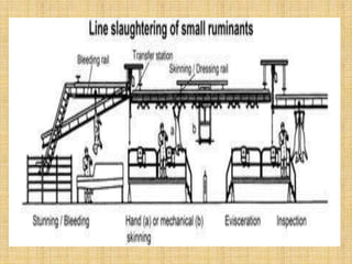 Infrastructure req of modern slaughterhouse | PPTX