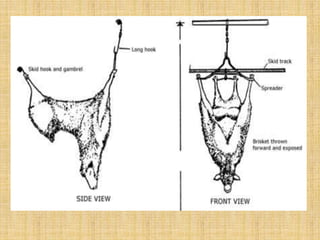 Infrastructure req of modern slaughterhouse | PPTX