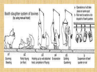 Infrastructure req of modern slaughterhouse | PPTX