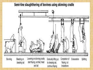 Infrastructure req of modern slaughterhouse | PPTX