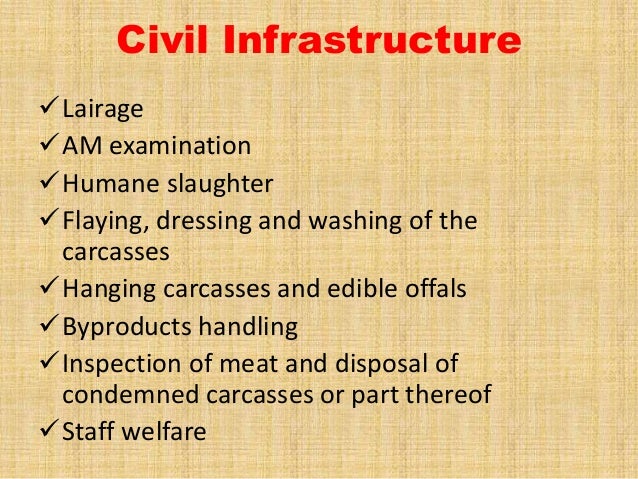 infrastructure req of modern slaughterhouse