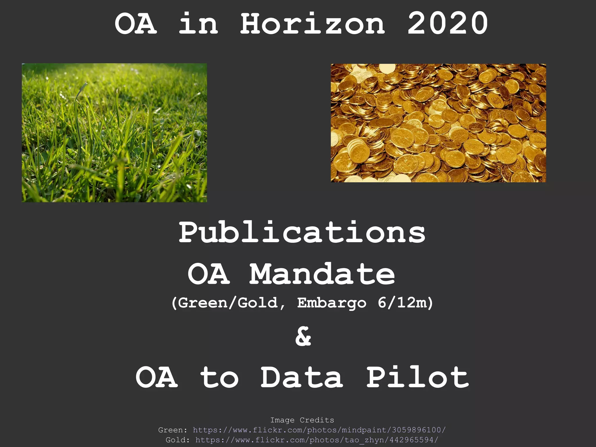 OA in Horizon 2020
Publications
OA Mandate
(Green/Gold, Embargo 6/12m)
&
OA to Data Pilot
Image Credits
Green: https://www.flickr.com/photos/mindpaint/3059896100/
Gold: https://www.flickr.com/photos/tao_zhyn/442965594/
 