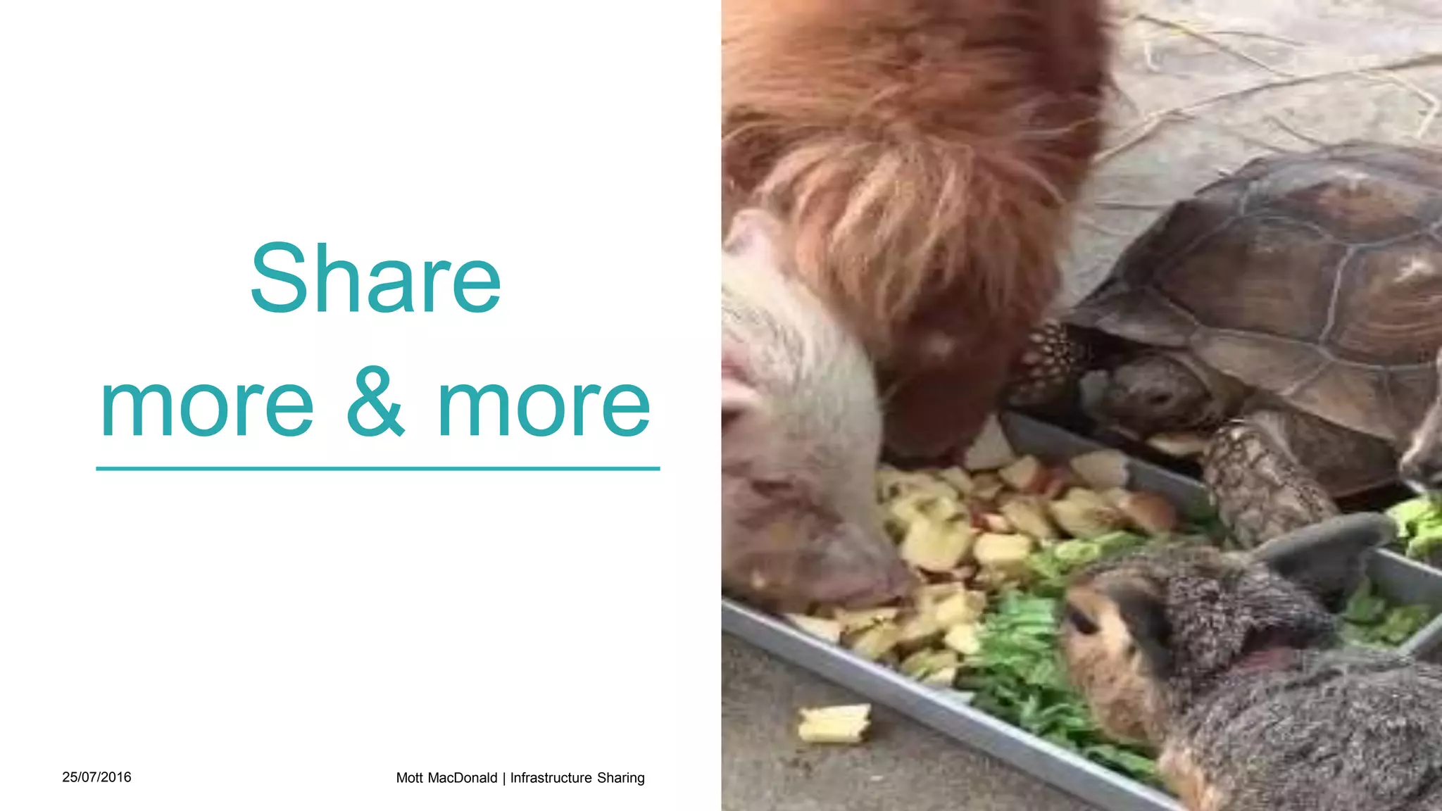 25/07/2016 20
Share
more & more
Mott MacDonald | Infrastructure Sharing
 