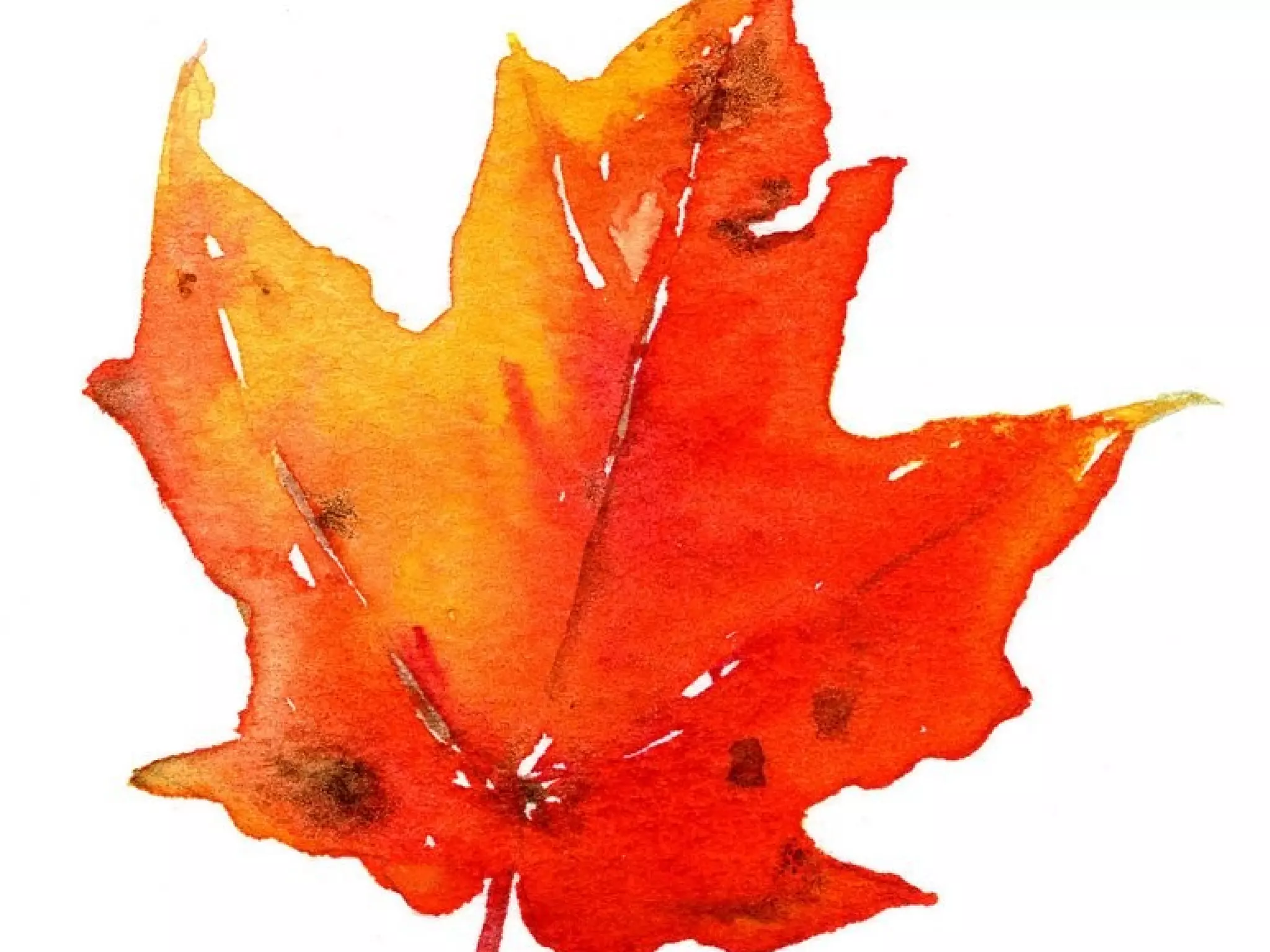 Infrastructure strategy