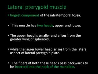 Lateral pterygoid muscle
• largest component of the infratemporal fossa.
• This muscle has two heads, upper and lower.
• The upper head is smaller and arises from the
greater wing of sphenoid,
• while the larger lower head arises from the lateral
aspect of lateral pterygoid plate.
• The fibers of both these heads pass backwards to
be inserted into the neck of the mandible.
 