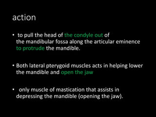 action
• to pull the head of the condyle out of
the mandibular fossa along the articular eminence
to protrude the mandible.
• Both lateral pterygoid muscles acts in helping lower
the mandible and open the jaw
• only muscle of mastication that assists in
depressing the mandible (opening the jaw).
 