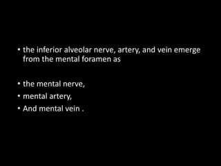 • the inferior alveolar nerve, artery, and vein emerge
from the mental foramen as
• the mental nerve,
• mental artery,
• And mental vein .
 