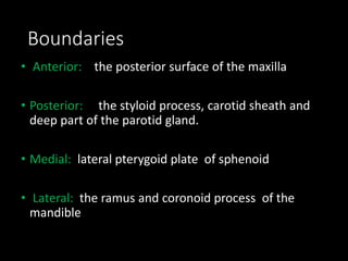 Boundaries
• Anterior: the posterior surface of the maxilla
• Posterior: the styloid process, carotid sheath and
deep part of the parotid gland.
• Medial: lateral pterygoid plate of sphenoid
• Lateral: the ramus and coronoid process of the
mandible
 