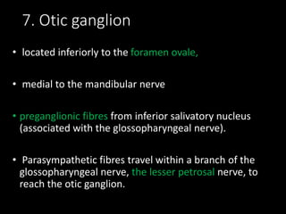 7. Otic ganglion
• located inferiorly to the foramen ovale,
• medial to the mandibular nerve
• preganglionic fibres from inferior salivatory nucleus
(associated with the glossopharyngeal nerve).
• Parasympathetic fibres travel within a branch of the
glossopharyngeal nerve, the lesser petrosal nerve, to
reach the otic ganglion.
 
