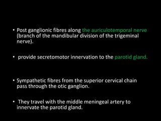 • Post ganglionic fibres along the auriculotemporal nerve
(branch of the mandibular division of the trigeminal
nerve).
• provide secretomotor innervation to the parotid gland.
• Sympathetic fibres from the superior cervical chain
pass through the otic ganglion.
• They travel with the middle meningeal artery to
innervate the parotid gland.
 