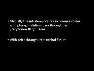 • Medially the infratemporal fossa communicates
with pterygopalatine fossa through the
pterygomaxillary fissure.
• With orbit through infra orbital fissure
 
