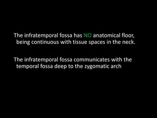 The infratemporal fossa has NO anatomical floor,
being continuous with tissue spaces in the neck.
The infratemporal fossa communicates with the
temporal fossa deep to the zygomatic arch
 