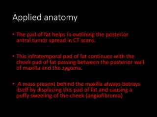 Applied anatomy
• The pad of fat helps in outlining the posterior
antral tumor spread in CT scans.
• This infratemporal pad of fat continues with the
cheek pad of fat passing between the posterior wall
of maxilla and the zygoma.
• A mass present behind the maxilla always betrays
itself by displacing this pad of fat and causing a
puffy sweeling of the cheek (angiofibroma)
 