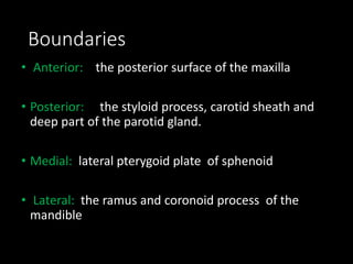 Boundaries
• Anterior: the posterior surface of the maxilla
• Posterior: the styloid process, carotid sheath and
deep part of the parotid gland.
• Medial: lateral pterygoid plate of sphenoid
• Lateral: the ramus and coronoid process of the
mandible
 