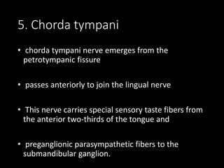 5. Chorda tympani
• chorda tympani nerve emerges from the
petrotympanic fissure
• passes anteriorly to join the lingual nerve
• This nerve carries special sensory taste fibers from
the anterior two-thirds of the tongue and
• preganglionic parasympathetic fibers to the
submandibular ganglion.
 