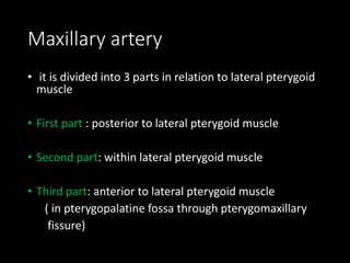 Maxillary artery
• it is divided into 3 parts in relation to lateral pterygoid
muscle
• First part : posterior to lateral pterygoid muscle
• Second part: within lateral pterygoid muscle
• Third part: anterior to lateral pterygoid muscle
( in pterygopalatine fossa through pterygomaxillary
fissure)
 