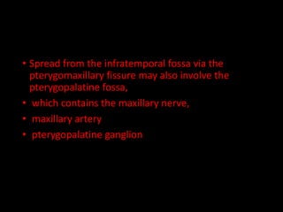 • Spread from the infratemporal fossa via the
pterygomaxillary fissure may also involve the
pterygopalatine fossa,
• which contains the maxillary nerve,
• maxillary artery
• pterygopalatine ganglion
 
