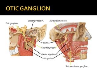 Inferior alveolar n.
Lingual n.
Facial n..
Submandibular ganglion.
Otic ganglion.
Lesser petrosal n.
Chorda tympani
Auriculotemporal n.
 