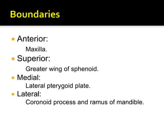  Anterior:
Maxilla.
 Superior:
Greater wing of sphenoid.
 Medial:
Lateral pterygoid plate.
 Lateral:
Coronoid process and ramus of mandible.
 