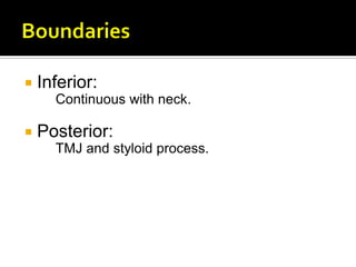  Inferior:
Continuous with neck.
 Posterior:
TMJ and styloid process.
 