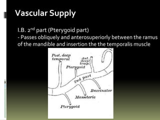 Vascular Supply
I.B. 2nd part (Pterygoid part)
- Passes obliquely and anterosuperiorly between the ramus
of the mandible and insertion the the temporalis muscle
 