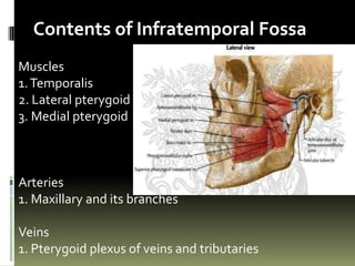 Contents of Infratemporal Fossa
Muscles
1. Temporalis
2. Lateral pterygoid
3. Medial pterygoid



Arteries
1. Maxillary and its branches

Veins
1. Pterygoid plexus of veins and tributaries
 