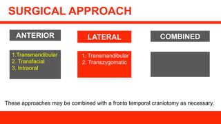 INFRATEMPORAL FOSSA AND PTERYGOPALATINE FOSSA NEW.pptx