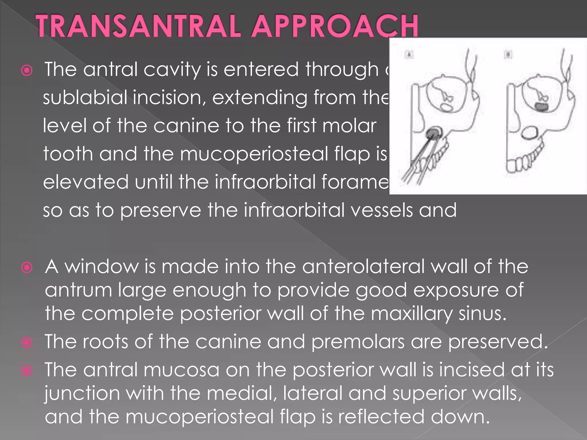  The antral cavity is entered through a
sublabial incision, extending from the
level of the canine to the first molar
tooth and the mucoperiosteal flap is
elevated until the infraorbital foramen,
so as to preserve the infraorbital vessels and
 A window is made into the anterolateral wall of the
antrum large enough to provide good exposure of
the complete posterior wall of the maxillary sinus.
 The roots of the canine and premolars are preserved.
 The antral mucosa on the posterior wall is incised at its
junction with the medial, lateral and superior walls,
and the mucoperiosteal flap is reflected down.
 