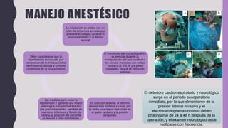 MANEJO ANESTÉSICO
La intubación se realiza con un
tubo de estructura armada que
previene el colapso durante el
posicionamiento o la flexión
cervical.
El monitoreo electrocardiográfico
es esencial durante la
manipulación del talo cerebral o
los nervios craneales con reflejo
cardiaco (V, VIII, IX y X pares
craneales), ya que se producen
arritmias
En posición sedente, el retorno
venoso está limitado y causa, por
lo tanto, una mayor reducción en
el gasto cardiaco y la presión
sanguínea.
Las medidas para evitar la
hipotensión y generar una mayor
precarga e incluyen hidratación
pre posicionamiento, vendaje de
miembros inferiores y flexión de
cadera, la posición del paciente
es llevada a cabo lentamente,
Debe considerarse que la
hipertensión es causada por
compresión de la médula rostral
ventrolateral, debida a tumores
contenidos en la fosa posterior.
18
El deterioro cardiorrespiratorio y neurológico
surge en el periodo posoperatorio
inmediato, por lo que elmonitoreo de la
presión arterial invasiva y el
electrocardiograma continuo deben
prolongarse de 24 a 48 h después de la
operación, y el examen neurológico debe
realizarse con frecuencia.
 
