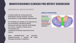 MANIFESTACIONES CLÍNICAS POR DÉFICIT CEREBELOSO
SINDROME DEL LÓBULO POSTERIOR
5
La lesión puede ser consecuencia de
enfermedad vascular cerebral, tumores,
traumatismos o enfermedades degenerativas
Se manifiesta por pérdida de coordinación de
los movimientos voluntarios (ataxia),
disminución del tono muscular, anormalidad
en el ritmo y amplitud y fuerza de los
movimientos que
condicionan el temblor intencional (no de
reposo).
Otras manifestaciones son dismetría,
disdiadococinesia y temblor del habla
(lenguaje escandido o explosivo).
 